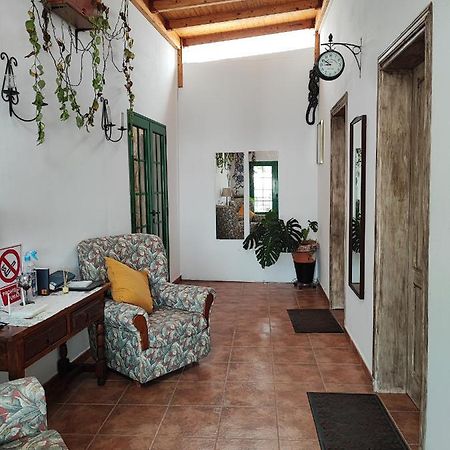Apartament Ca' Anibal Tías Zewnętrze zdjęcie